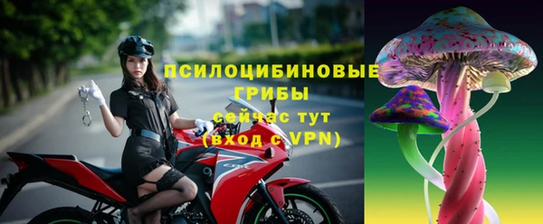 хмурый Алзамай