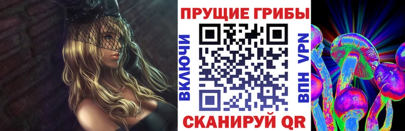 Псилоцибиновые грибы прущие грибы  Павловская 